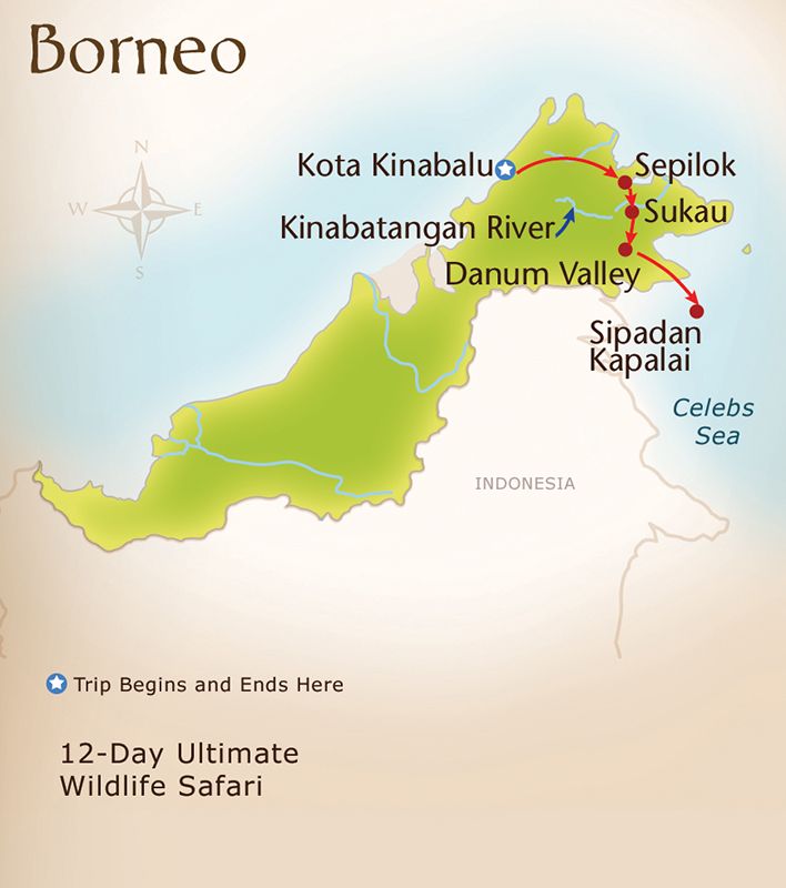 borneo tour holidays